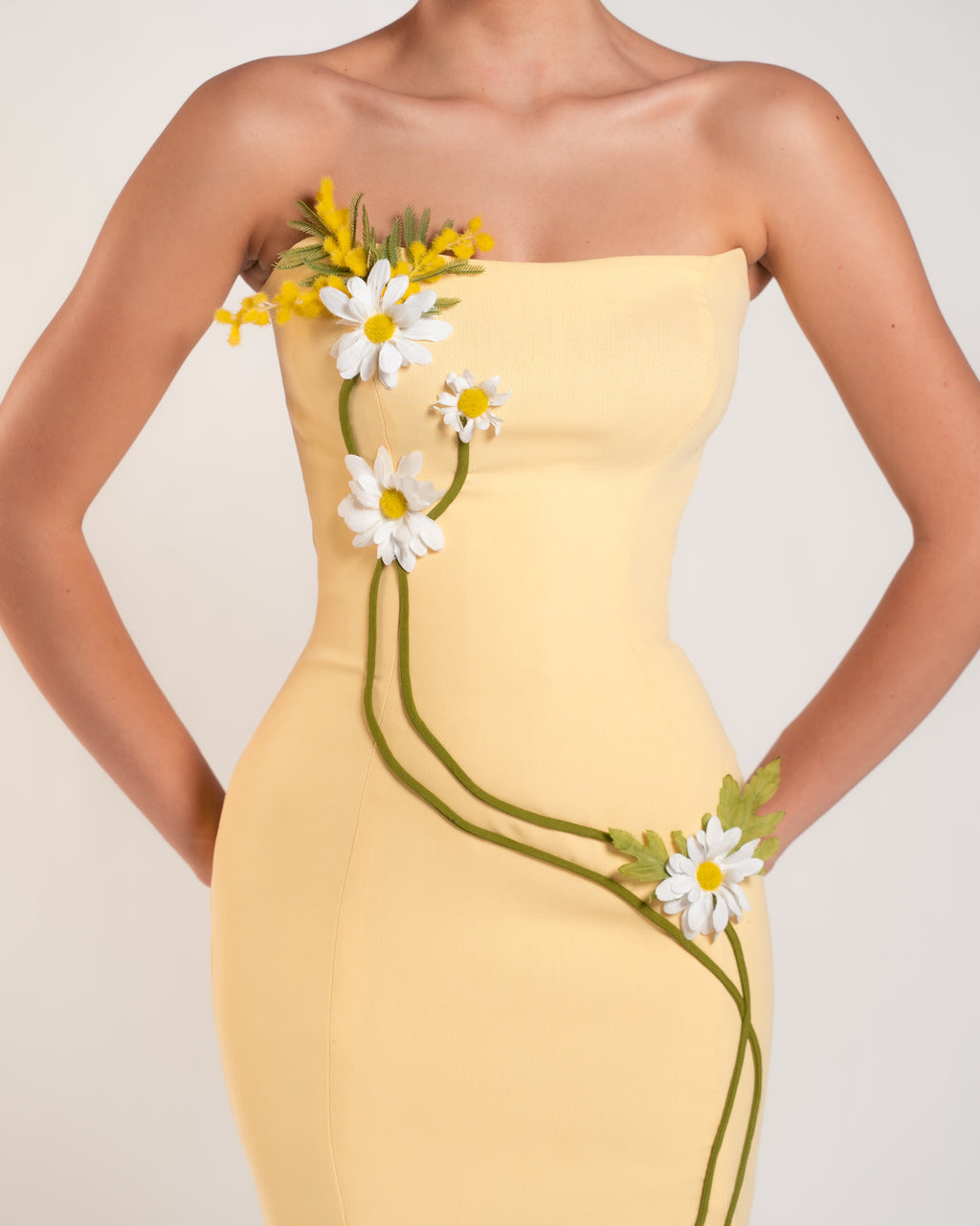 BELLIS