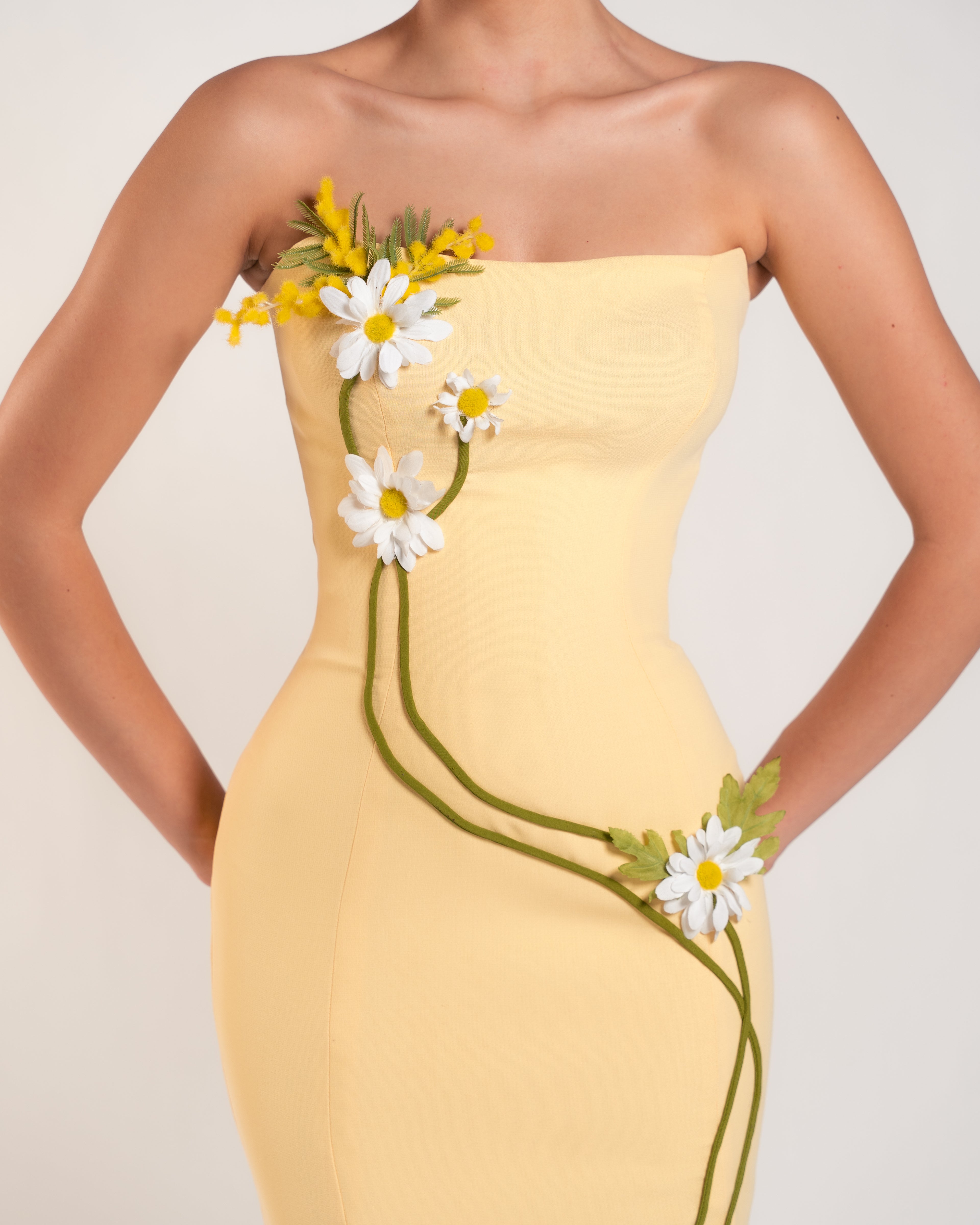 BELLIS